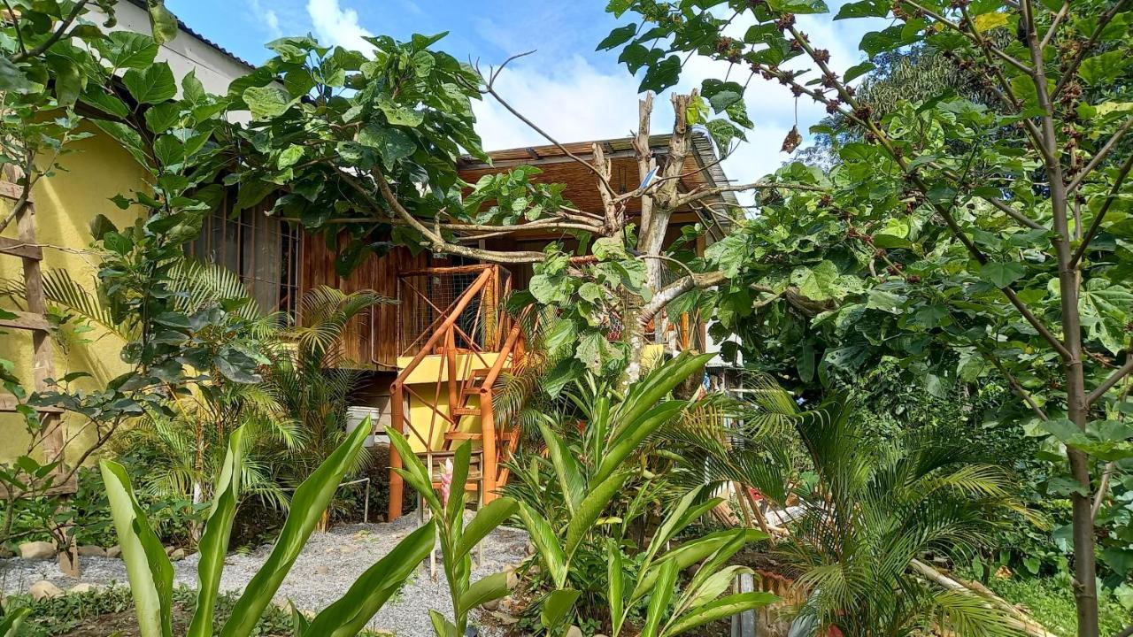 Cacao Lodge And Tours La Fortuna Bagian luar foto